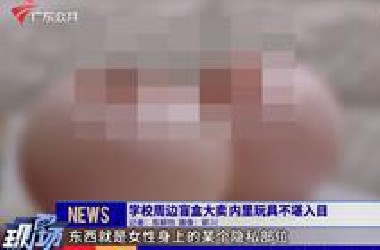 广州：家长反映 学校周边盲盒大卖内里玩具不堪入目