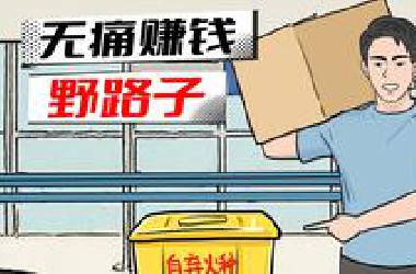 这几个方法有点野，但是真的很赚钱！