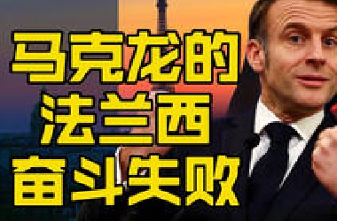 奋斗失败的法兰西