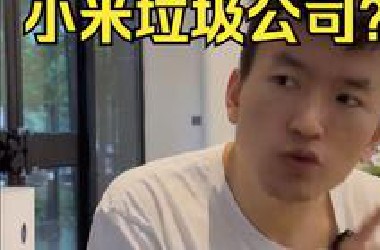芯片研发九死一生，小米为什么要冒着被制裁的风险往？