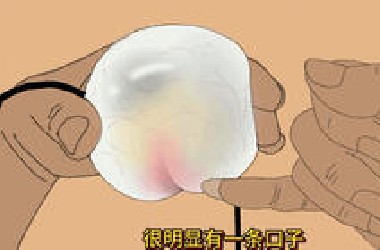 世界怪形图鉴#猎奇#科普#冷知识