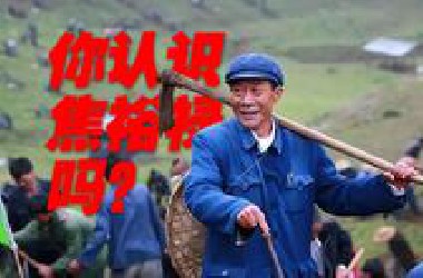 中国人没人不认识他！但是你真的了解他吗？