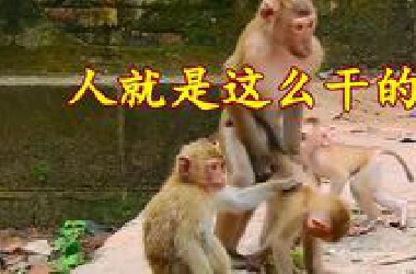 人就是这么干的