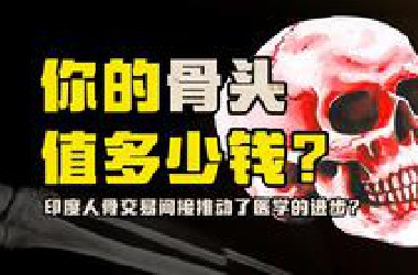 为什么人骨在黑市上最受欢迎？你的骨骼系统是如何长成的？
