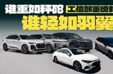 怎么还造秤砣呢？【工信部车展】396期简评