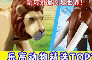 【乐高动物精选TOP12】玩转可爱奇趣世界！