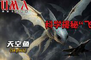 【UMA】时速14400公里！“天空鱼”UFO真相曝光，原来我们都被眼睛骗了！未确认生物图鉴