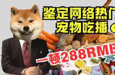 三文鱼！青口贝！这么多海鲜小心过敏！【林·热门鉴定·德贵】